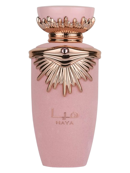 Haya